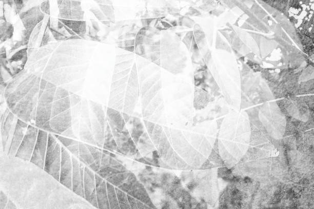 istock Texture, grey grunge. Abstract monochrome background. Old vintage surface 1053991890