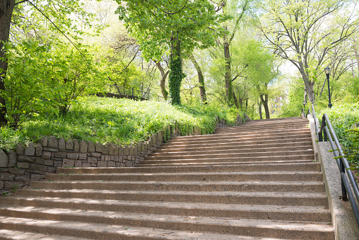 This is a color photograph of ascending concrete stairs surrounded by lush green vegetation in Morningside Harlem Manhattan NYC, USA during spring.