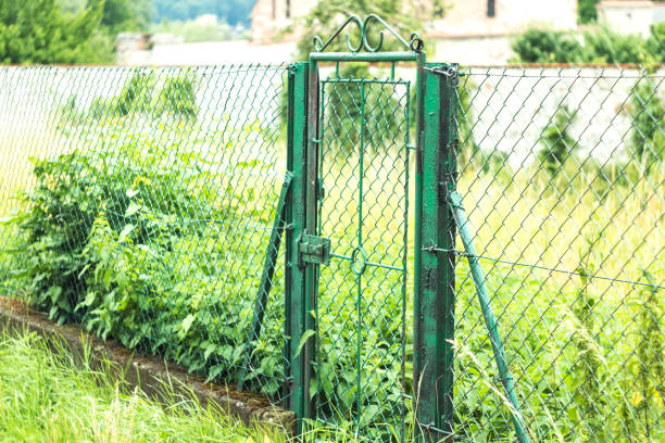 istock Green gate and nature. 1054001194