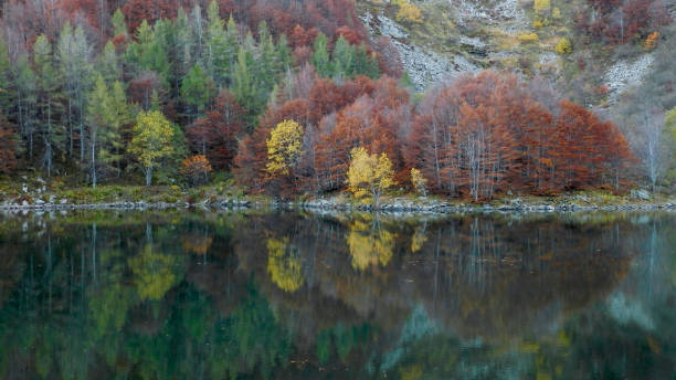 istock Fall foliage on mountain mirror lake in the evening (Italy) 1054001684