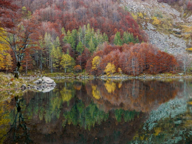 istock Fall foliage on mountain mirror lake in the evening (Italy) 1054001808
