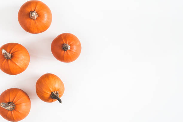 istock Autumn composition. Pumpkins on white background. Autumn, fall, halloween concept. Flat lay, top view, copy space 1054003204