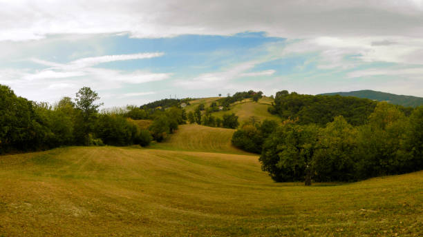 istock Landscape with fields, hills, woods, blue sky and cirrus clouds (Italy) 1054003320