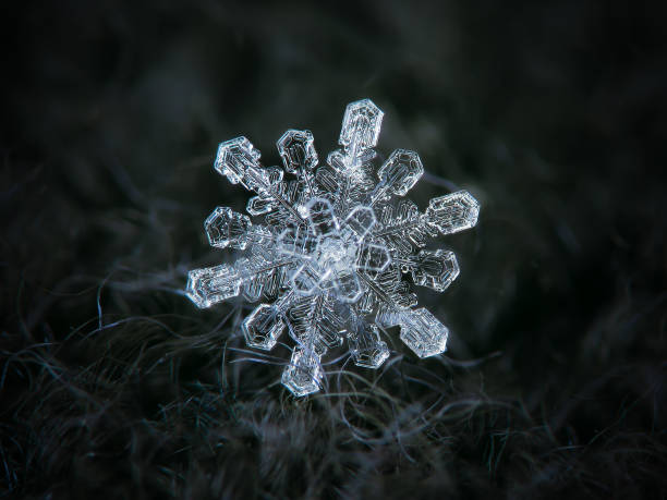 Snowflake glittering on dark textured background