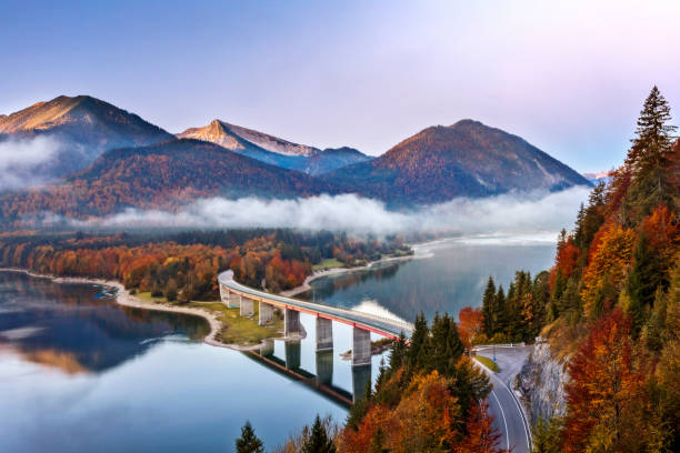 lago silvestro - sylvensteinspeicher ad autmun, sylvensteinsee, baviera, germania - autumn road landscape mountain foto e immagini stock