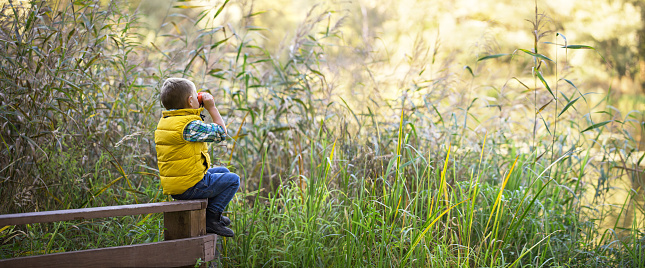 Little boy with binoculars sitting on a wooden fence in the reeds on the lake and exploring the environment warm autumn day. Wide large panorama
