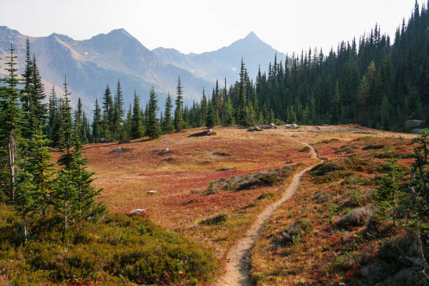 Hiking Trail Through a Meadow This section of the Pacific Crest Trail alternates between forest and meadows.  In this photo, there is wildfire smoke in the sky, and autumn colors in the meadow, typical of late summer. pacific crest trail stock pictures, royalty-free photos & images