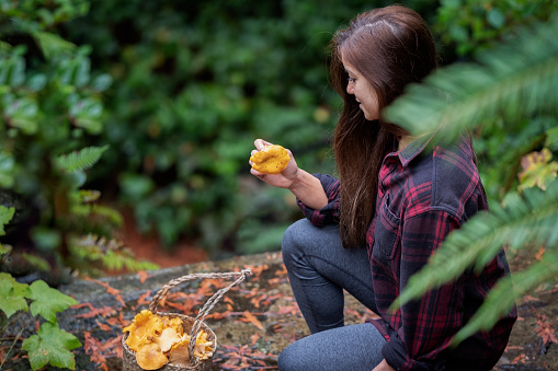 Young woman stops in wet forest trail to examine Chanterelle mushroom.  Bamfield, Vancouver Island, British Columbia, Canada.