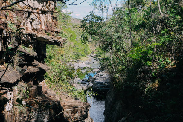 istock rocks and river in the chapada dos veadeiros brasil 1054071202