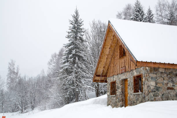 Chalet in winter Chalet covered with snow in the French Alps traditionally australian stock pictures, royalty-free photos & images