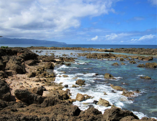 The Basin (shallow tide pools) and Sharks Cove are side by side on the North Shore of Oahu. Neither have much of a beach nor do they have facilities. Sharks Cove received it name from a story that says that the outline of the reef outside the cove looks like a shark when seen from above. I've never seen a shark while snorkeling here but that doesn't mean no one will. GREAT place to snorkel. la cuenca (piscinas de marea baja) y cala de tiburones están lado a lado en la costa norte de oahu. tienen mucho de una playa ni tienen instalaciones. cala de tiburones lo recibieron nombre del contorno de los arrecifes fuera de la cala es en forma de u