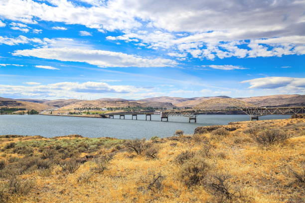 istock Vantage Bridge in Washington-USA 1054087908