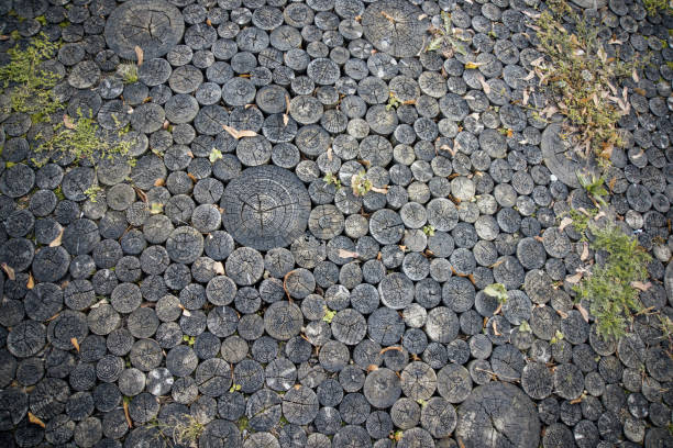 Abstract wooden texture in autumn dark colors.