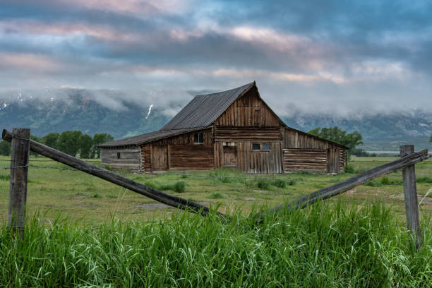 istock Foggy Sunrise at Mormon Row 1054099240