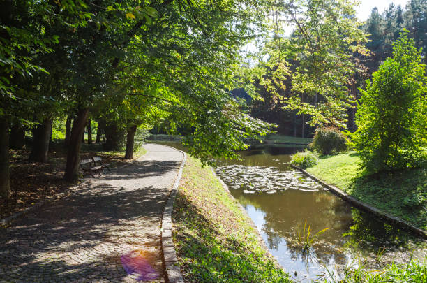 istock lake in the park 1054113588