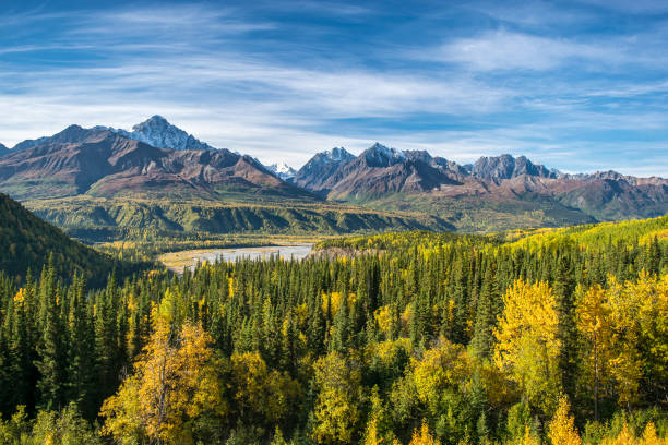 blick auf herbst wrangell st. elias nationalpark, alaska, usa - alaska stock-fotos und bilder