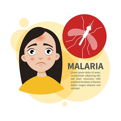 Malaria Stock Illustration - Download Image Now - Symptom, Anemia, Dengue  Fever - Fever - iStock