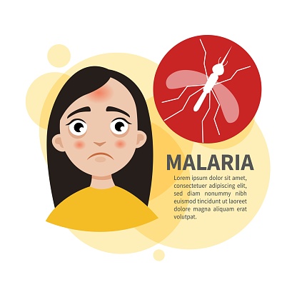 Malaria Stock Illustration - Download Image Now - Symptom, Anemia, Dengue Fever - Fever - iStock Malaria Stock Illustration - Download Image Now - Symptom, Anemia, Dengue Fever - Fever - iStock