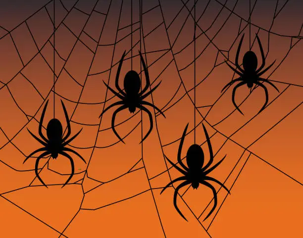 Vector illustration of Spiders Hanging From Web
