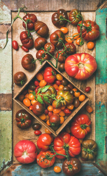 istock Flat -lay of fresh colorful tomatoes on tray, vertical composition 1054146700