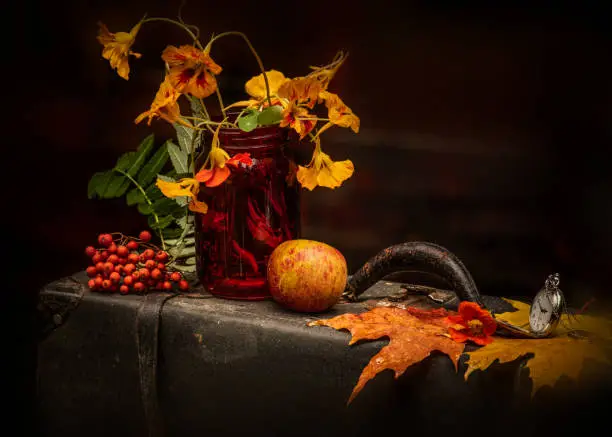 Autumn still life with bouquet of flowers, old vintage suitcase and color maple leaves, natural light, vintage style.