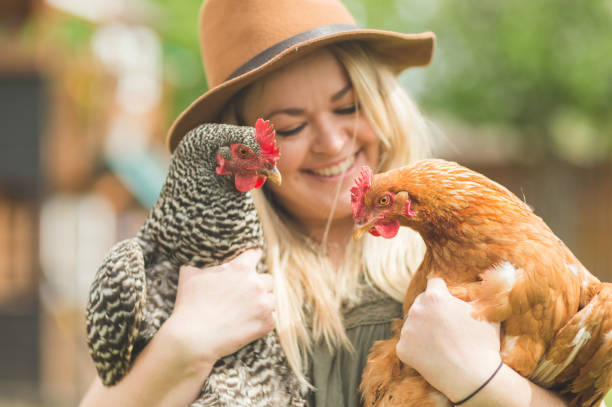 istock Woman holds two chickens in her back yard farm 1054149926