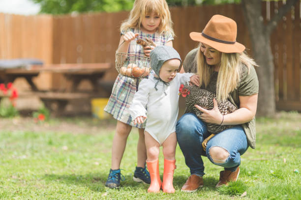 istock Young sisters play with their chickens in the back yard 1054149934