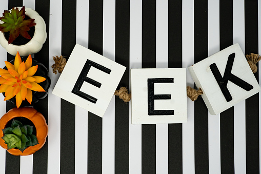 Eek Halloween phrase letters on fun black and white stripe background and pumpkin succulents cactus. Useful for Halloween projects and headers