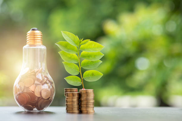 energy saving. stacks of coins growing in light bulb and tree growing on stacks of coins and tree nature background. saving, natural energy and financial concept. - power saving imagens e fotografias de stock