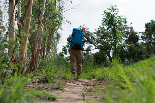 traveler with backpack walking in outdoor forest scenery. travel, adventure
