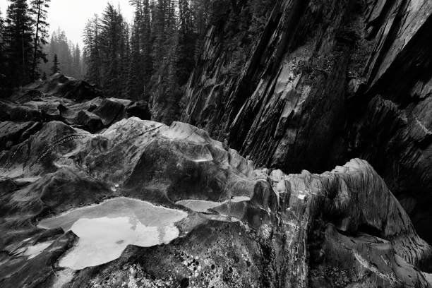 istock Eroded Riverbank Kicking Horse River 1054196958