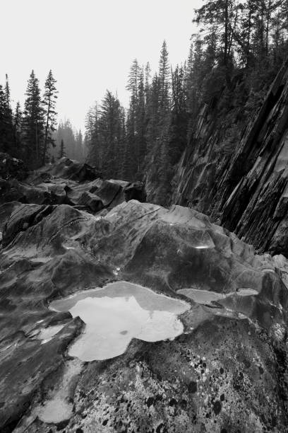 istock Eroded Riverbank Kicking Horse River 1054197102