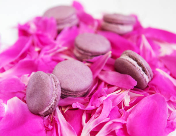 istock Pink peony petals with macarons 1054213200