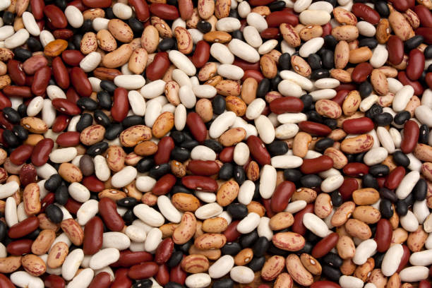 istock Variety of dried legumes 1054215318
