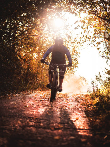 istock Mountain biker cycling on trail in woods 1054225710
