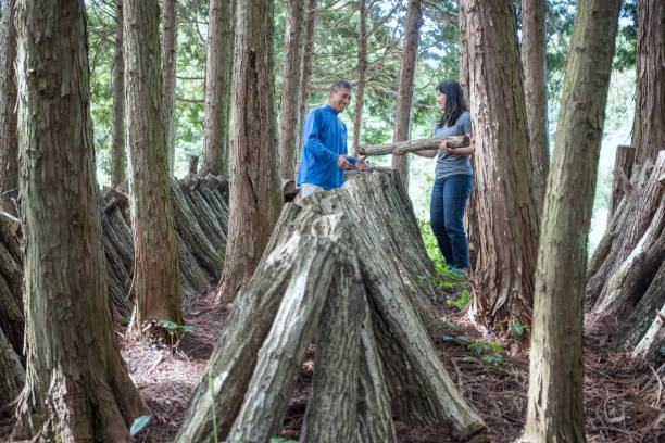 istock Japanese Farmer Shows Tourist How to Stack Mushroom Seeded Logs 1054232702