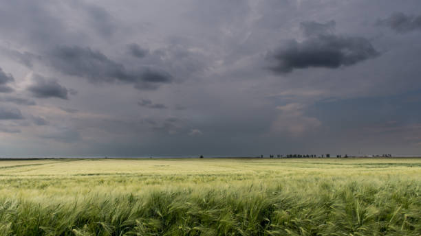 istock Dark stormy clouds above the wheat field 1054235012