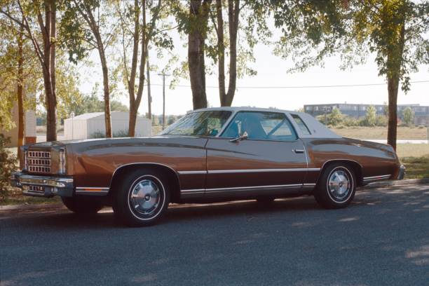 istock Limousine, Midwest, usa 1054235738
