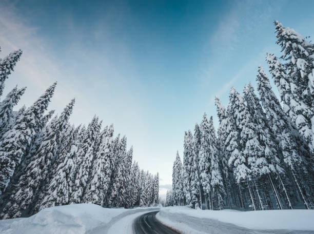istock Road Through The Snowcapped Landscape 1054242234