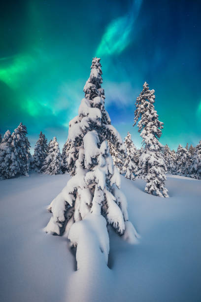 istock Northern Lights In Winter 1054242252