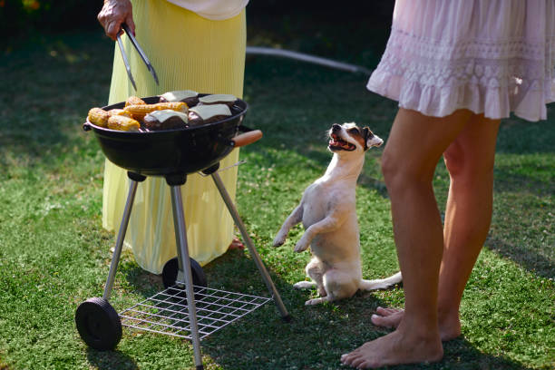 istock Multi generation family on picnic in back yard 1054258370