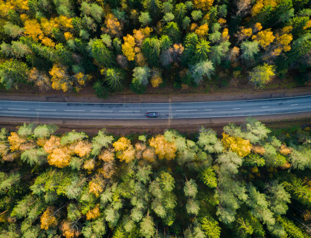 luftaufnahme eines autos auf der straße. herbstliche landschaft landschaft. - über etwas stolpern stock-fotos und bilder