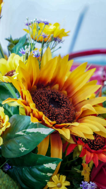 istock Beautiful plastic sunflower ready to be sold 1054258844