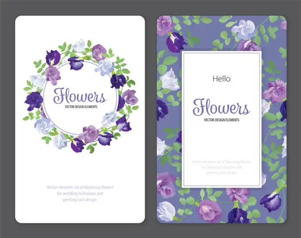 Vector illustration of Butterfly pea flowers and leaf on background template.