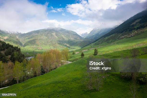 Unhola River Valley Aran Valley Catalonia Spain Stock Photo - Download Image Now - Catalonia, Grass, Horizontal