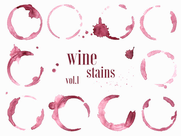 şarap lekeleri ve splatters kümesi. vektör çizim - wine stock illustrations
