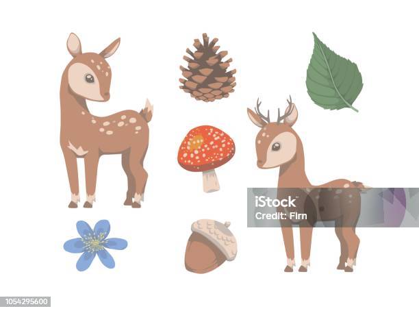 Collection Of Vector Deer And Forest Illustration Stock Illustration - Download Image Now - Acorn, Animal, Cartoon