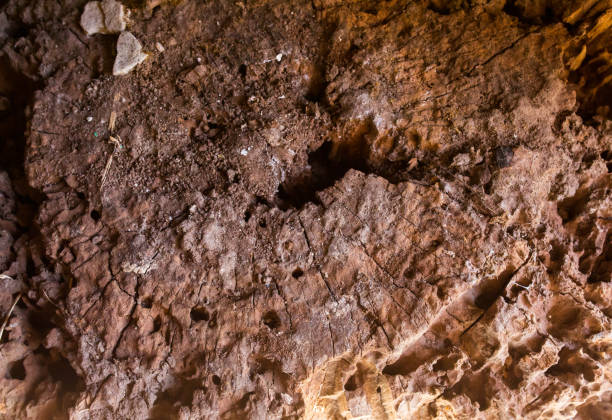 istock Old painted red wooden background. Stump rustic texture. 1054298460