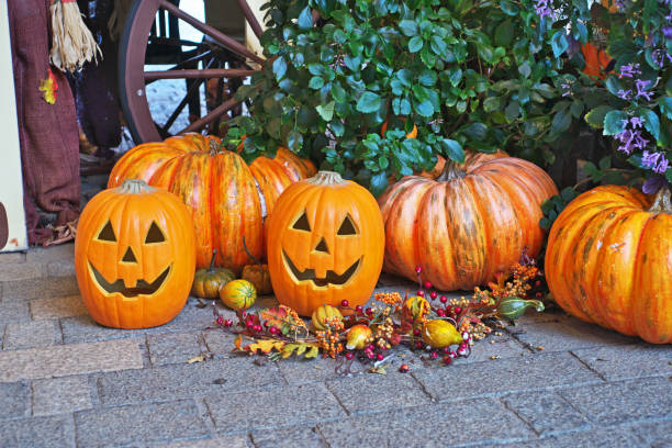 istock Pumpkin of the Halloween 1054302022