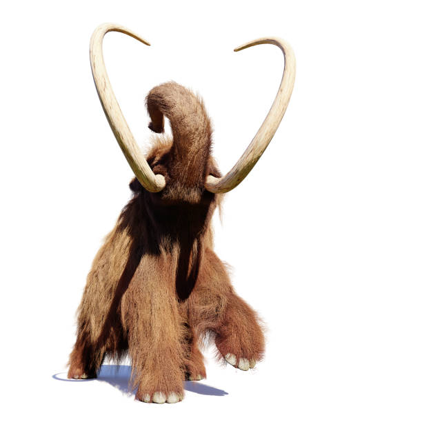 istock woolly mammoth, running prehistoric mammal isolated with shadow on white background 1054311388